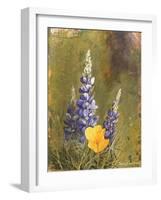 Poppies and Lupine-Trevor V. Swanson-Framed Giclee Print