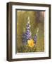 Poppies and Lupine-Trevor V. Swanson-Framed Giclee Print