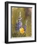 Poppies and Lupine-Trevor V. Swanson-Framed Giclee Print