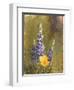 Poppies and Lupine-Trevor V. Swanson-Framed Giclee Print