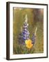 Poppies and Lupine-Trevor V. Swanson-Framed Giclee Print