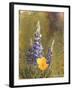 Poppies and Lupine-Trevor V. Swanson-Framed Giclee Print