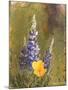 Poppies and Lupine-Trevor V. Swanson-Mounted Giclee Print