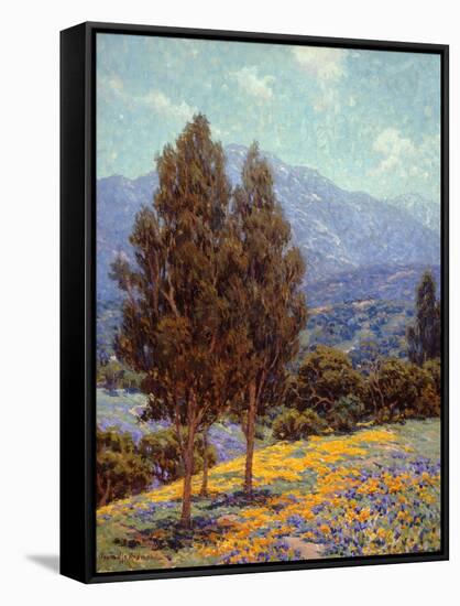 Poppies and Lupines-Granville Redmond-Framed Stretched Canvas