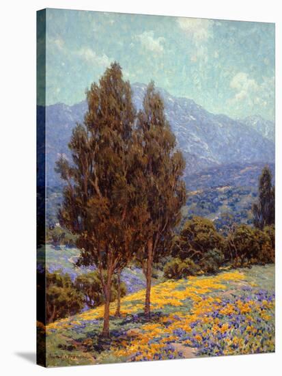 Poppies and Lupines-Granville Redmond-Stretched Canvas