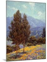 Poppies and Lupines-Granville Redmond-Mounted Art Print