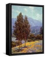 Poppies and Lupines-Granville Redmond-Framed Stretched Canvas