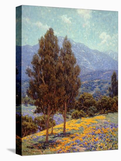 Poppies and Lupines-Granville Redmond-Stretched Canvas