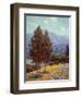 Poppies and Lupines-Granville Redmond-Framed Art Print