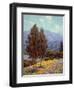 Poppies and Lupines-Granville Redmond-Framed Art Print