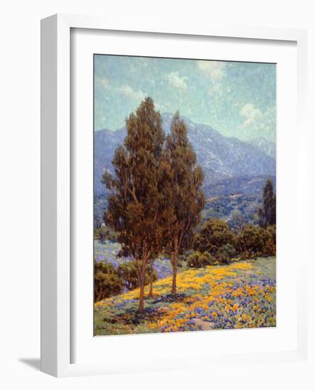Poppies and Lupines-Granville Redmond-Framed Art Print