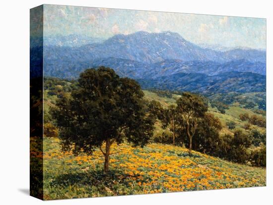 Poppies and Lupines-Granville Redmond-Stretched Canvas