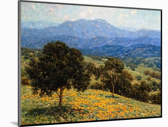 Poppies and Lupines-Granville Redmond-Mounted Art Print