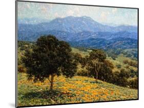Poppies and Lupines-Granville Redmond-Mounted Art Print