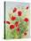 Poppies and Mayweed-John Gubbins-Stretched Canvas