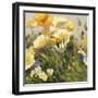 Poppies and Pansies I-null-Framed Art Print