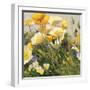 Poppies and Pansies I-null-Framed Art Print