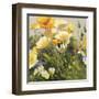 Poppies and Pansies I-null-Framed Art Print