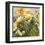 Poppies and Pansies I-null-Framed Art Print