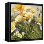 Poppies and Pansies I-null-Framed Stretched Canvas