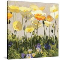 Poppies and Pansies II-null-Stretched Canvas