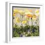 Poppies and Pansies II-null-Framed Art Print