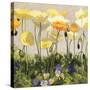 Poppies and Pansies II-null-Stretched Canvas