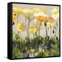 Poppies and Pansies II-null-Framed Stretched Canvas