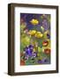 Poppies and Pansies-Karen Mathison Schmidt-Framed Art Print