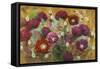 Poppies and Peonies-li bo-Framed Stretched Canvas