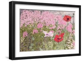 Poppies and Phlox-Linda Benton-Framed Giclee Print