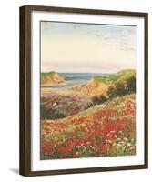 Poppies and Sea Lavender-John Halford Ross-Framed Giclee Print