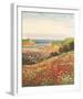 Poppies and Sea Lavender-John Halford Ross-Framed Giclee Print