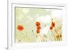 Poppies and Sky-Aledanda-Framed Photographic Print