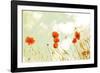 Poppies and Sky-Aledanda-Framed Photographic Print