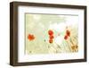 Poppies and Sky-Aledanda-Framed Photographic Print