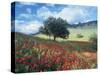 Poppies and Tree, Andalucia, Spain-Peter Adams-Stretched Canvas