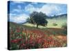 Poppies and Tree, Andalucia, Spain-Peter Adams-Stretched Canvas