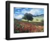 Poppies and Tree, Andalucia, Spain-Peter Adams-Framed Photographic Print