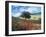 Poppies and Tree, Andalucia, Spain-Peter Adams-Framed Photographic Print