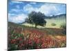 Poppies and Tree, Andalucia, Spain-Peter Adams-Mounted Photographic Print