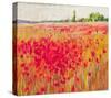 Poppies And Trees IX-null-Stretched Canvas