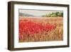 Poppies And Trees VI-null-Framed Art Print