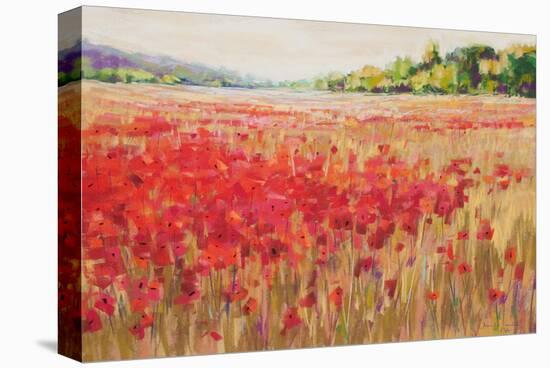 Poppies And Trees VI-null-Stretched Canvas