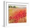 Poppies And Trees VIII-null-Framed Art Print