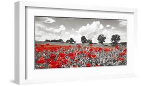 Poppies and vicias in meadow, Mecklenburg Lake District, Germany-Frank Krahmer-Framed Giclee Print