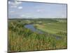 Poppies and Vineyards Along Border of Luxembourg and Germany, River Moselle (Mosel), Germany-James Emmerson-Mounted Photographic Print