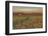 Poppies At Dusk-null-Framed Art Print