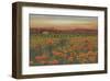 Poppies At Dusk-null-Framed Art Print