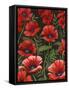 Poppies at Midnight I-Grace Popp-Framed Stretched Canvas